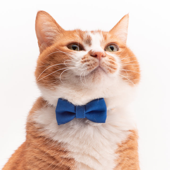 リボン付き猫首輪 MUJIコットンツイル ブルー - ぽぽねこ公式オンラインショップ