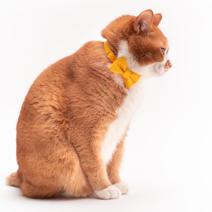 リボン付き猫首輪 MUJIコットンツイル イエロー - ぽぽねこ公式オンラインショップ