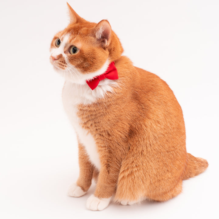 リボン付き猫首輪 MUJIコットンツイル レッド - ぽぽねこ公式オンラインショップ