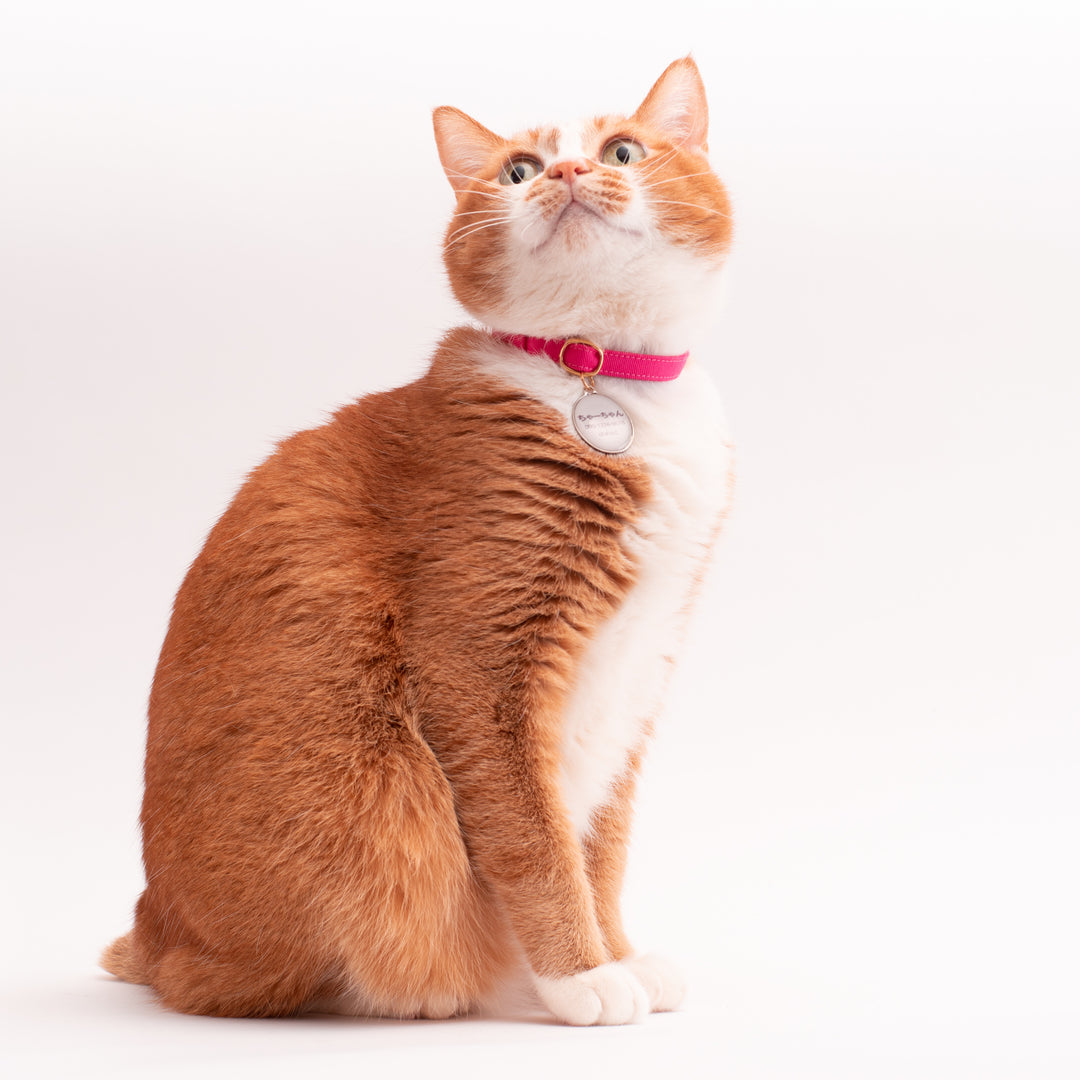 猫首輪 MUJIコットンツイル ピンク - ぽぽねこ公式オンラインショップ