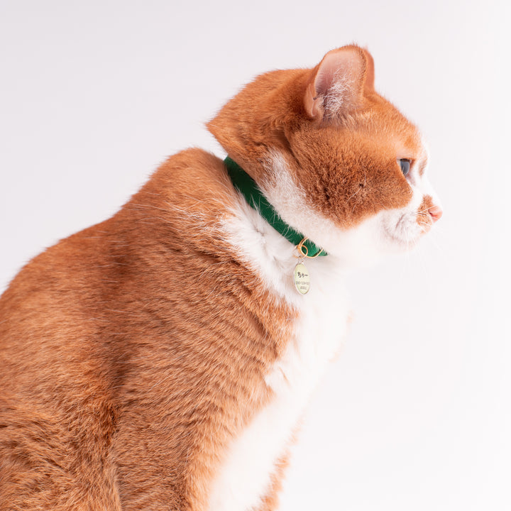 猫首輪 MUJIコットンツイル グリーン - ぽぽねこ公式オンラインショップ