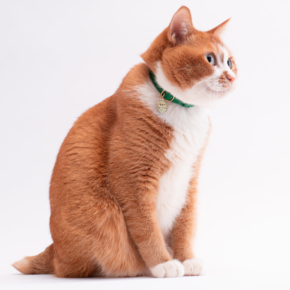 猫首輪 MUJIコットンツイル グリーン - ぽぽねこ公式オンラインショップ