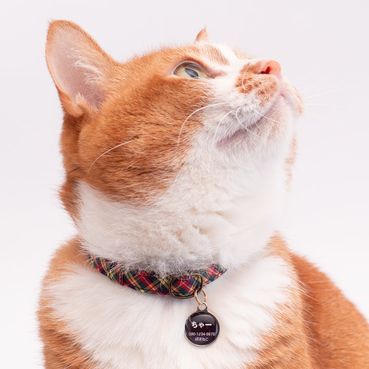 猫首輪 播州織タータンチェック イエロー