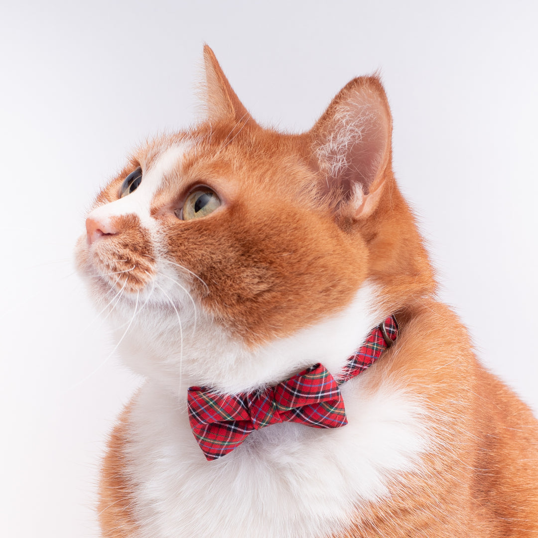 リボン付き猫首輪 播州織タータンチェック レッド