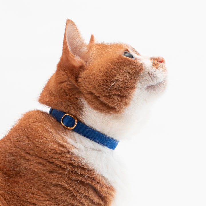 猫首輪 MUJIコットンツイル ブルー - ぽぽねこ公式オンラインショップ