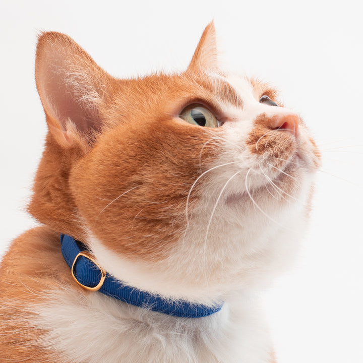 猫首輪 MUJIコットンツイル ブルー - ぽぽねこ公式オンラインショップ