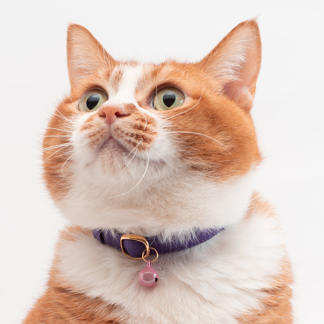 猫首輪 MUJIコットンツイル パープル - ぽぽねこ公式オンラインショップ