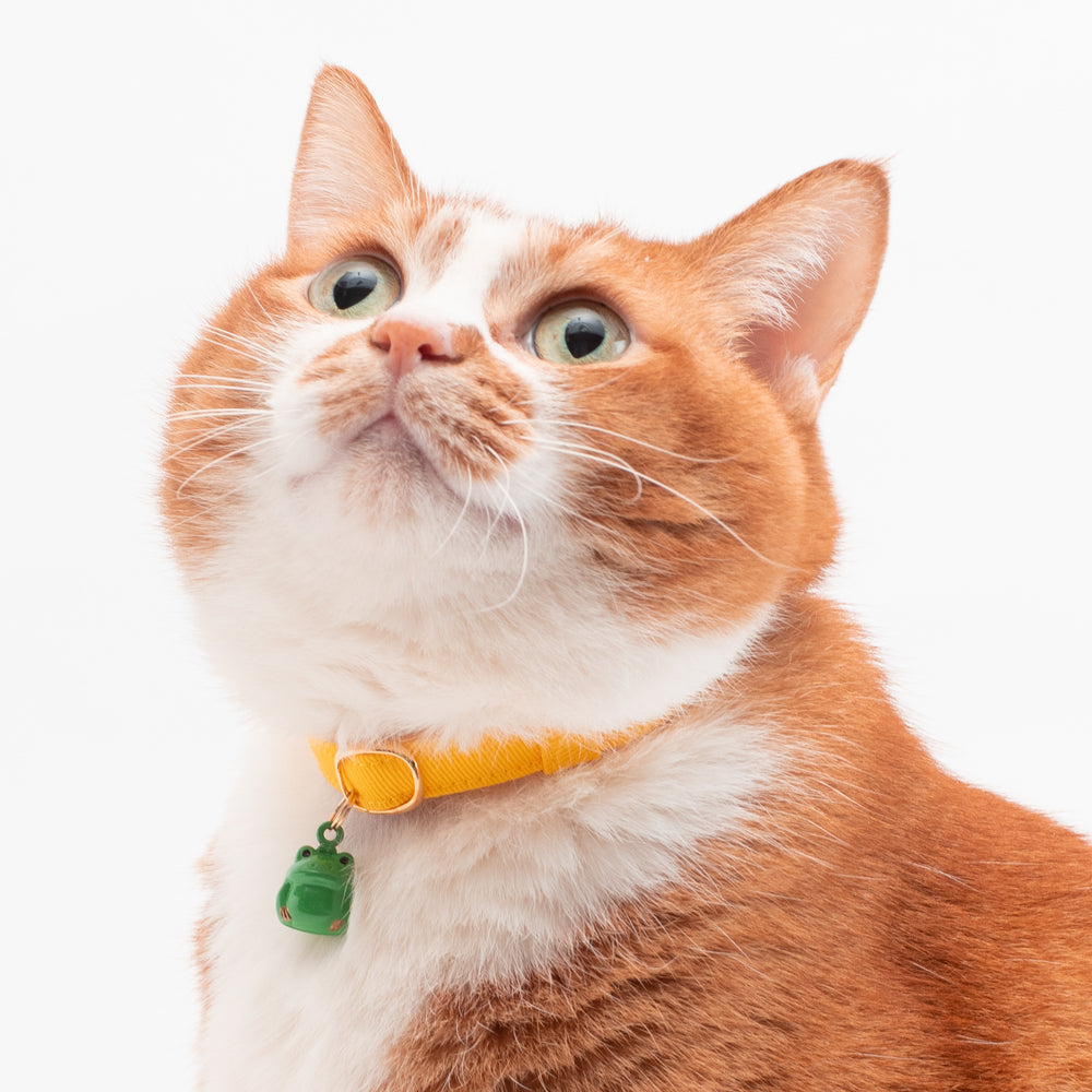 猫首輪 MUJIコットンツイル イエロー - ぽぽねこ公式オンラインショップ
