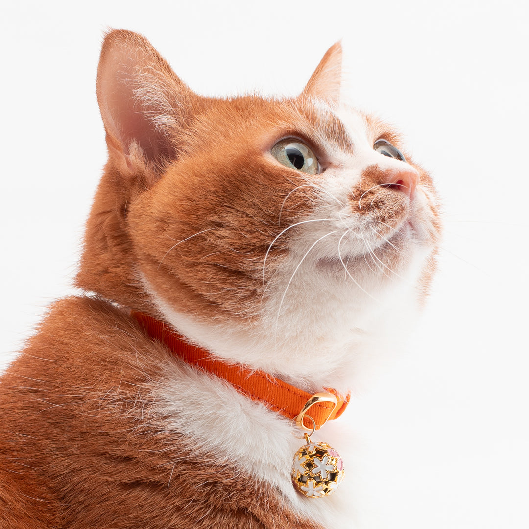 猫首輪 MUJIコットンツイル オレンジ - ぽぽねこ公式オンラインショップ