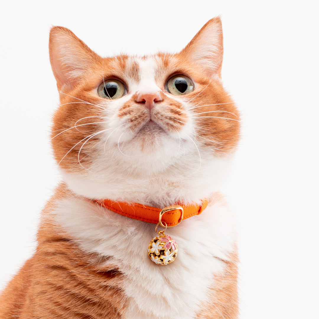 猫首輪 MUJIコットンツイル オレンジ - ぽぽねこ公式オンラインショップ