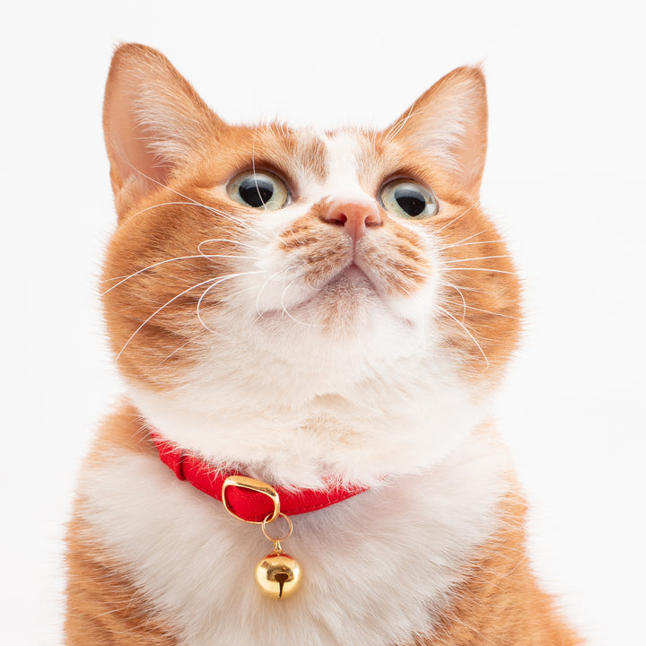 猫首輪 MUJIコットンツイル レッド - ぽぽねこ公式オンラインショップ