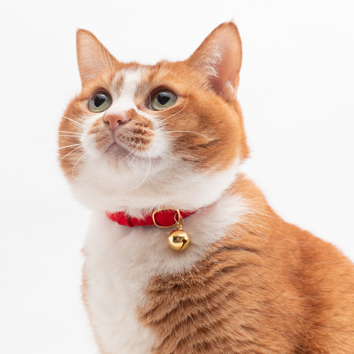 猫首輪 MUJIコットンツイル レッド - ぽぽねこ公式オンラインショップ