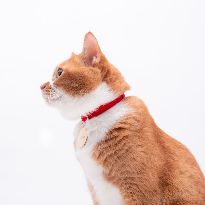 猫首輪 MUJIコットンツイル レッド - ぽぽねこ公式オンラインショップ