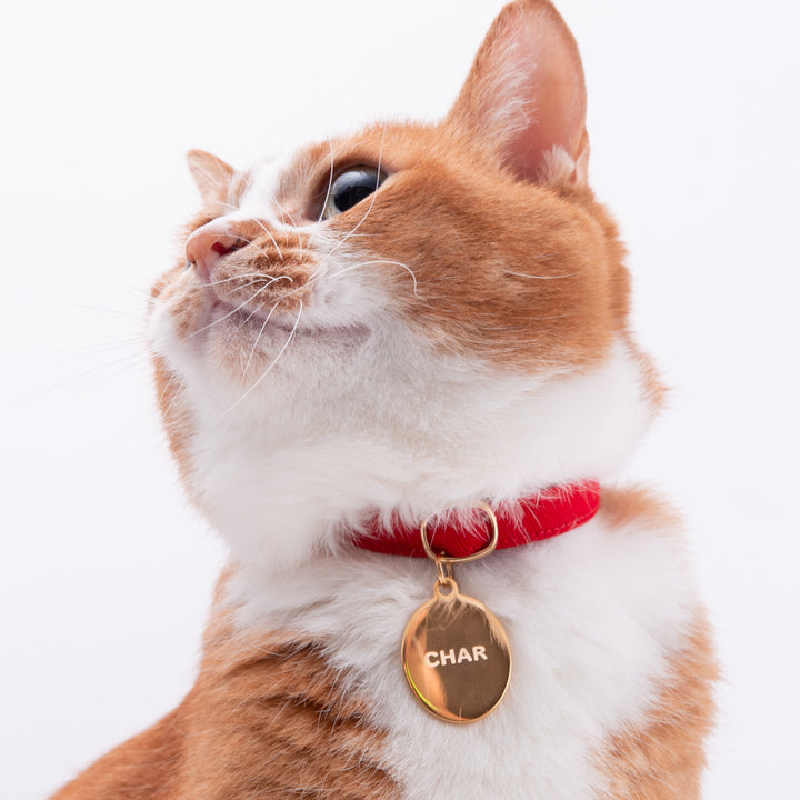 猫首輪 MUJIコットンツイル レッド - ぽぽねこ公式オンラインショップ