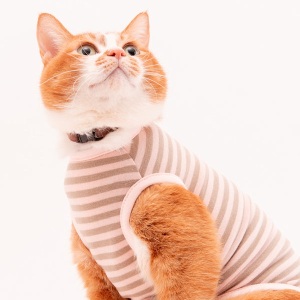 【訳あり】猫に優しい猫服 キャットウォーム ボーダー(ノースリーブ) 【訳あり】猫に優しい猫服 キャットウォーム ボーダー(ノースリーブ)