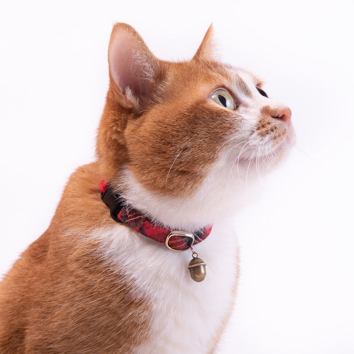 猫首輪 タータンチェック レッド - ぽぽねこ公式オンラインショップ