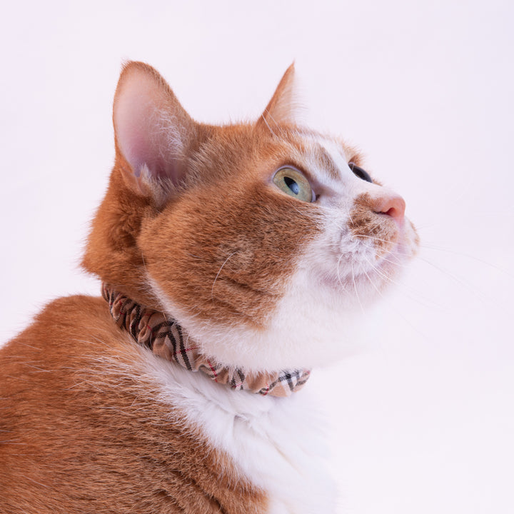 シュシュ猫首輪 タータンチェック ベージュ