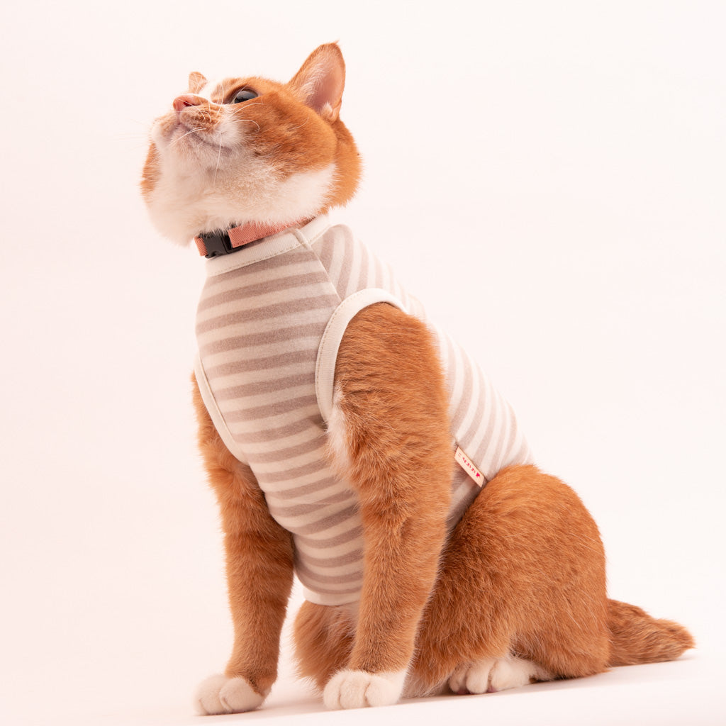 猫に優しい猫服　キャットウォーム　ボーダー（ノースリーブ）
