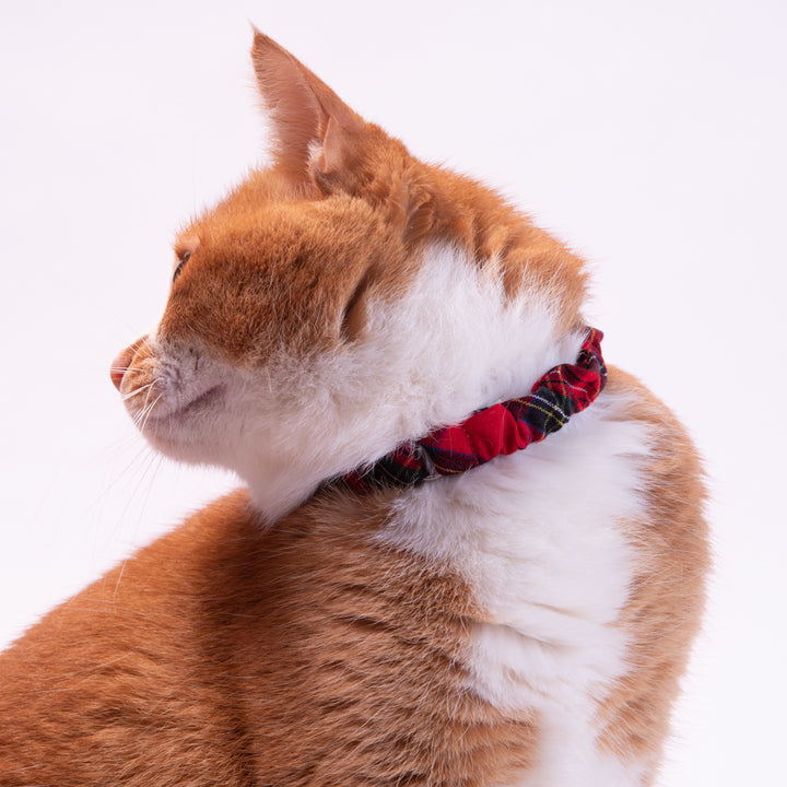 シュシュ猫首輪 タータンチェック レッド