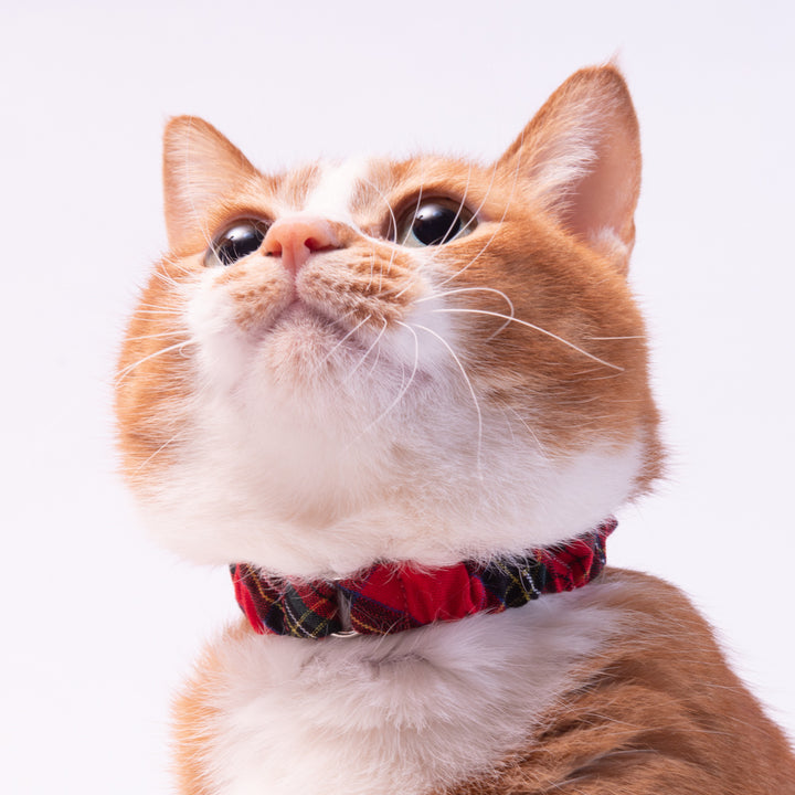 シュシュ猫首輪 タータンチェック レッド