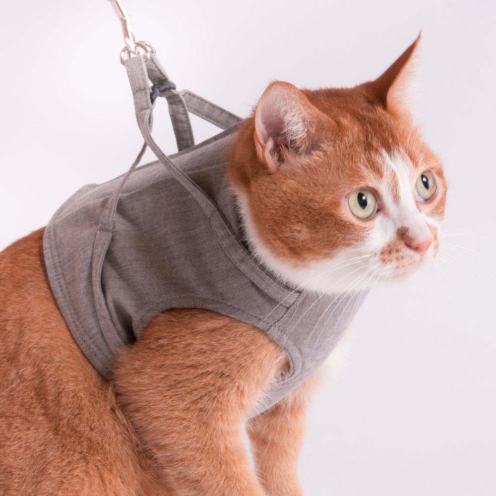 猫に優しいベスト型ハーネス・リード付き ダンガリー チャコールグレー