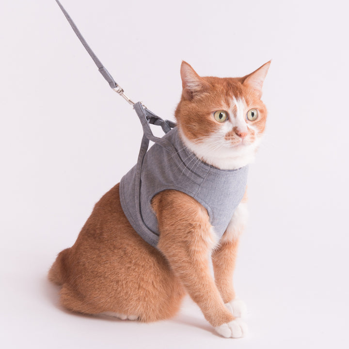 猫に優しいベスト型ハーネス・リード付き ダンガリー ブルー