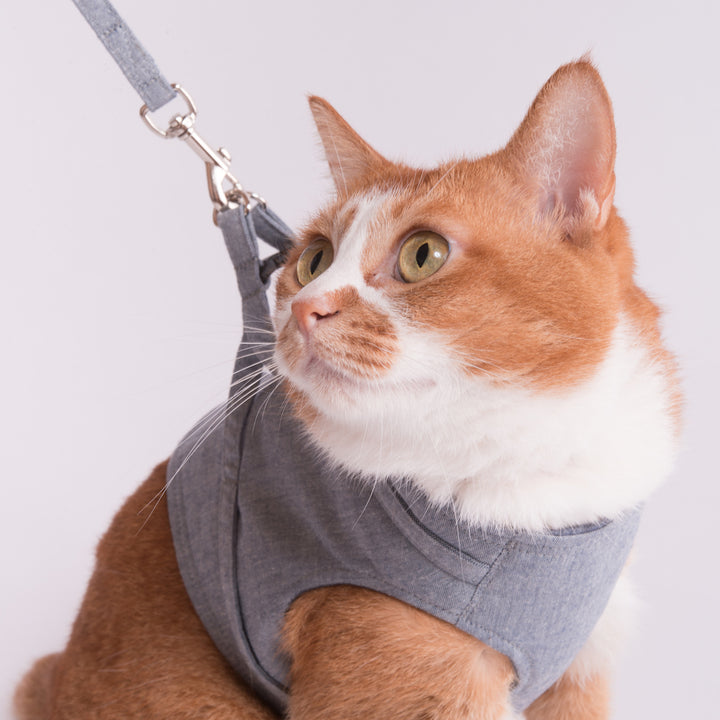 猫に優しいベスト型ハーネス・リード付き ダンガリー ブルー