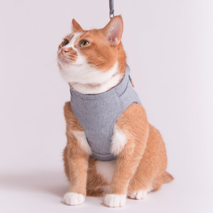 猫に優しいベスト型ハーネス・リード付き ダンガリー ブルー