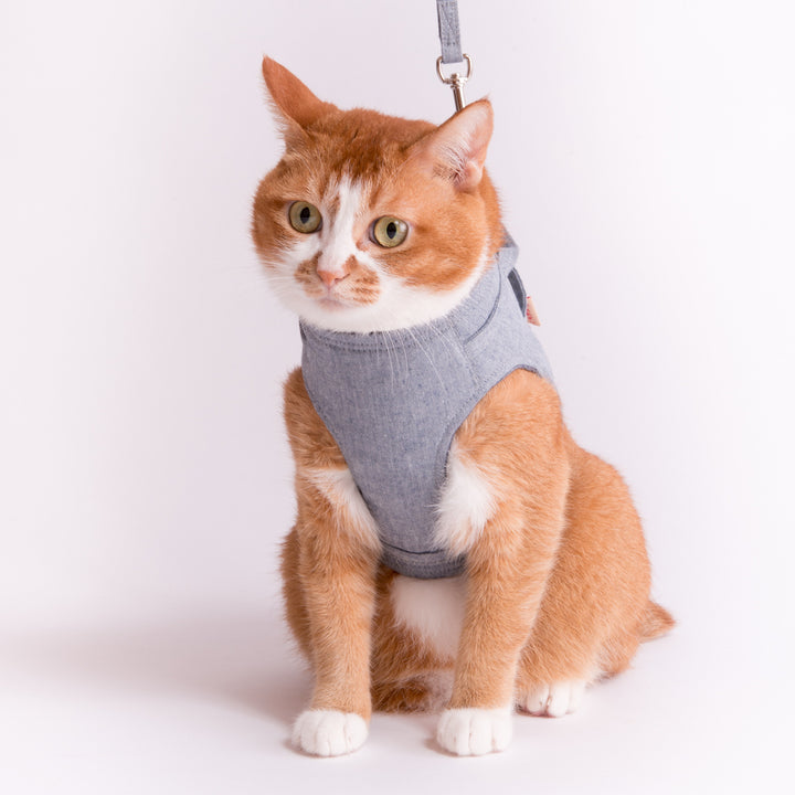 猫に優しいベスト型ハーネス・リード付き ダンガリー ブルー