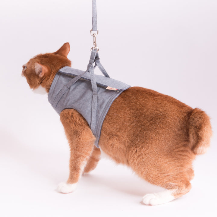 猫に優しいベスト型ハーネス・リード付き ダンガリー ブルー