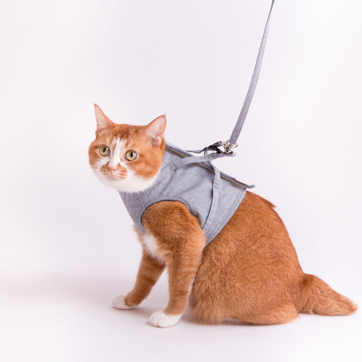 猫に優しいベスト型ハーネス・リード付き ダンガリー ブルー