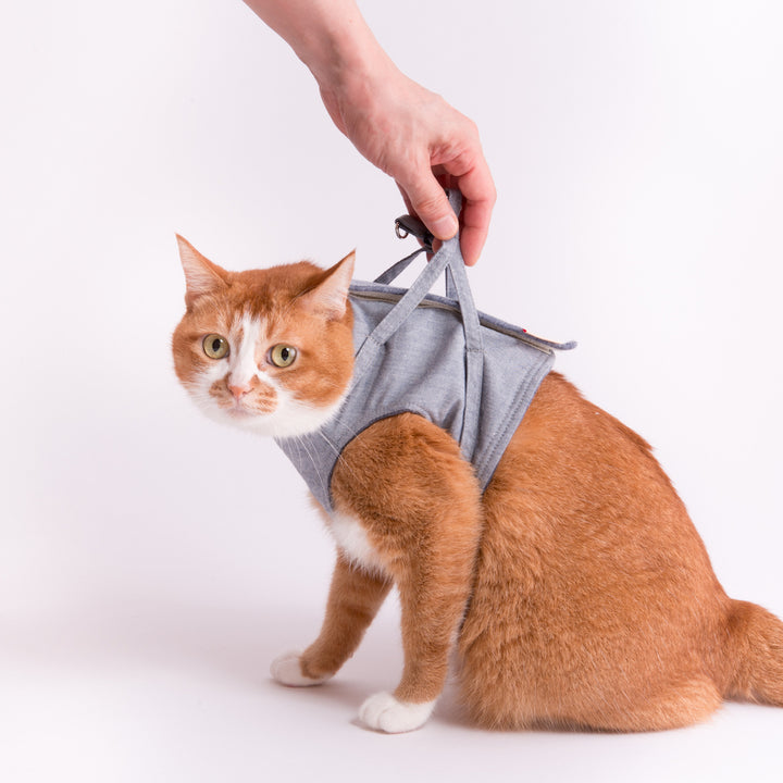 猫に優しいベスト型ハーネス・リード付き ダンガリー ブルー
