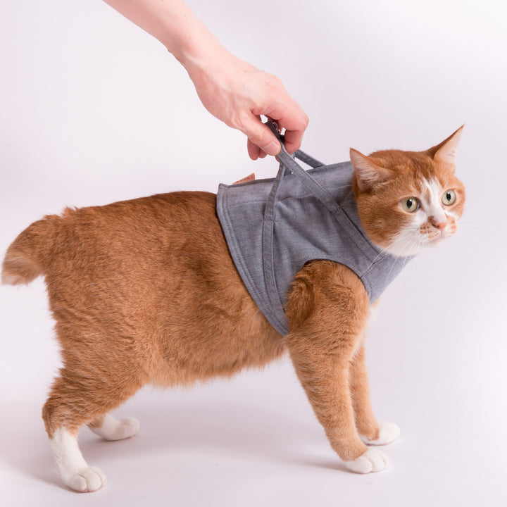 猫に優しいベスト型ハーネス・リード付き ダンガリー ブルー