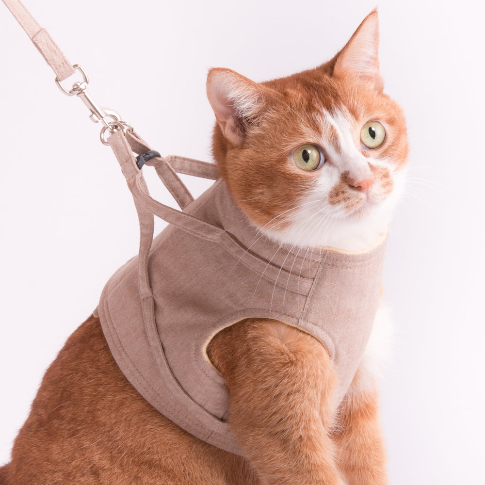 胸当てタイプハーネス(クリームローズ)&リードセット、わんちゃん猫