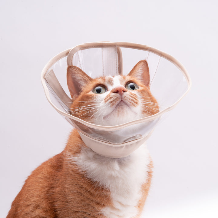 軽くて柔らかい猫用エリザベスカラー 視界良好タイプ