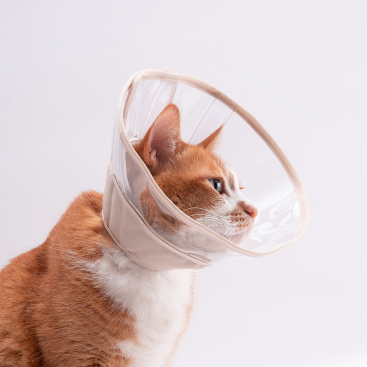 軽くて柔らかい猫用エリザベスカラー 視界良好タイプ