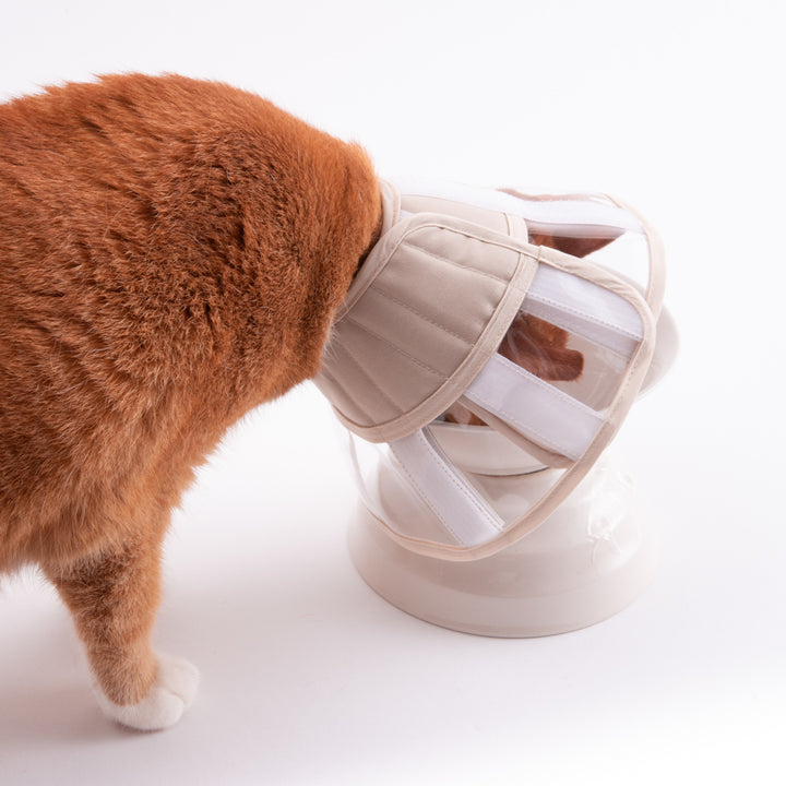 軽くて柔らかい猫用エリザベスカラー 視界良好タイプ