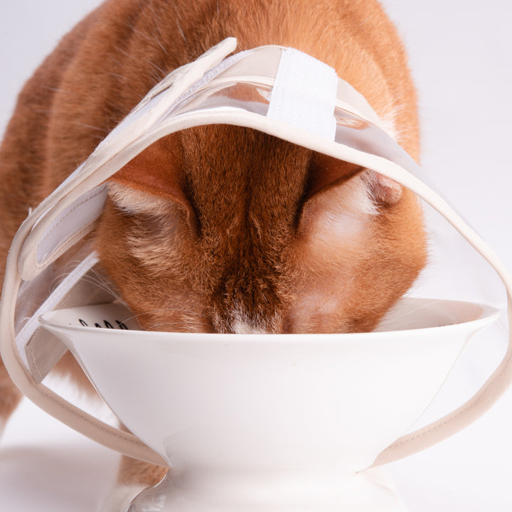 軽くて柔らかい猫用エリザベスカラー 視界良好タイプ