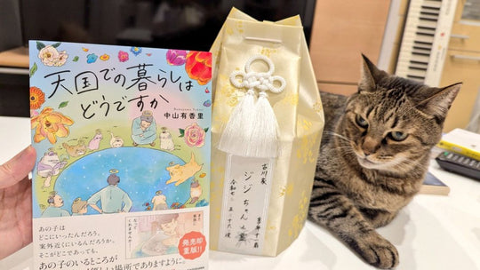 ペットロスで大切な猫を失ったあなたへ――“心の傷”を癒してくれる猫本5選