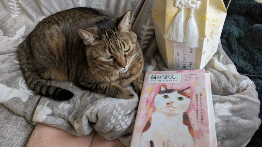 愛猫との“今”を大切にするために――事前に読んでおきたい“ペットロス対策本”5選