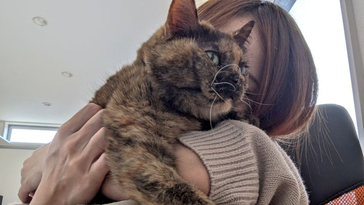 Going to buy ice with an empty body…the “real situation & feelings” on the day my beloved cat passed away