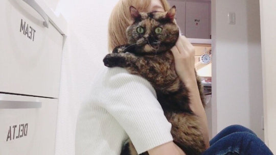 まさか胸水が50mlも溜まっていたなんて… 愛猫が「血管肉腫」になって知った“術後の経過観察で診てもらうべきポイント”