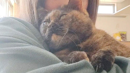猫の“気まぐれ”、実は全部わかってるのかもしれない