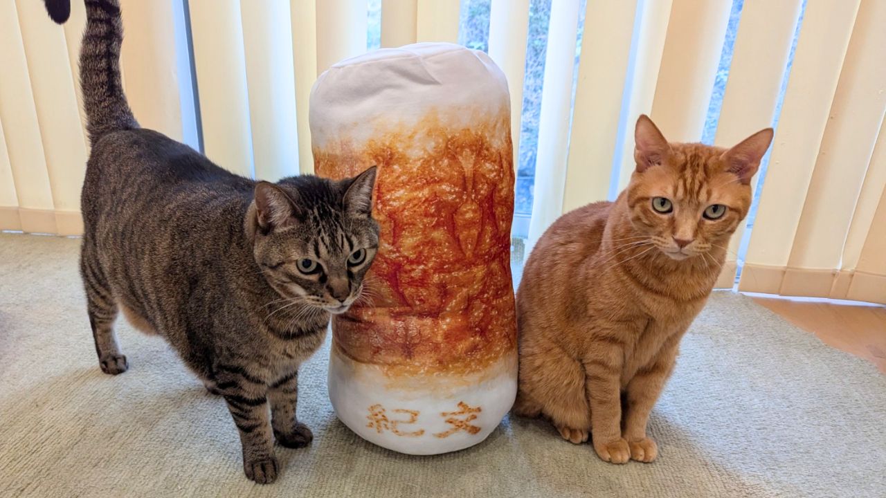 ちくわの穴に猫は入れる？『紀文のおひるねちくわクッション』のサイズ感や愛猫の反応を徹底レビュー