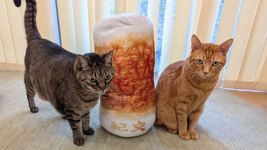 ちくわの穴に猫は入れる？『紀文のおひるねちくわクッション』のサイズ感や愛猫の反応を徹底レビュー