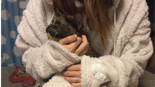「猫が描かれていない服は着たくない！」20代の私が猫愛をこじらせた結果…