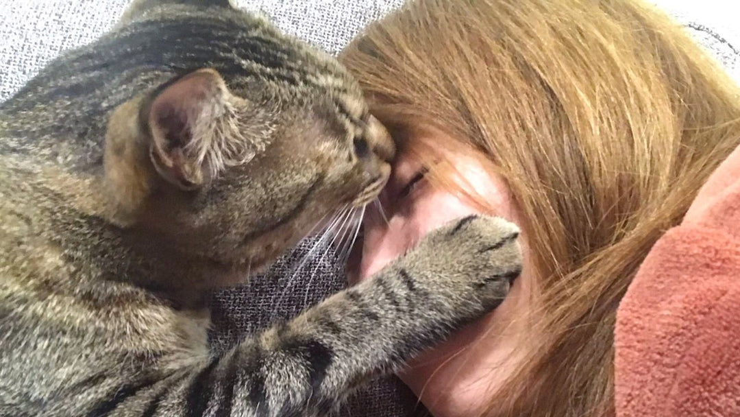 もしも愛猫が人間の言葉を話せたら？猫と人間は“本当に仲良くできるのか”を真剣に考察してみた