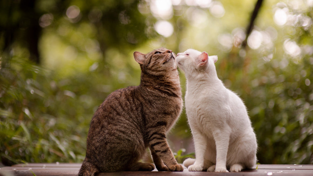 年末年始の営業について