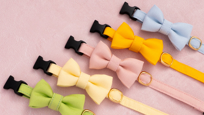 【新商品】さわやか！人気のMUJIコットンツイル猫首輪に春夏限定カラーが登場