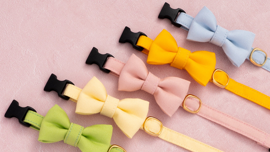 【新商品】さわやか！人気のMUJIコットンツイル猫首輪に春夏限定カラーが登場